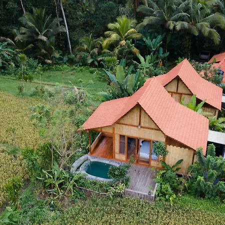 Nava Prana Villas By Pramana Villas